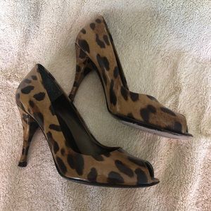Stuart Weizmann leopard pumps